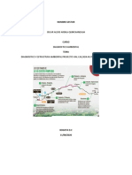 Estructura Del Proyecto Ambiental