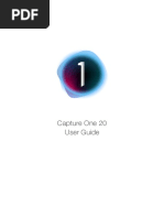 Capture One 20 User Guide PDF