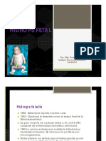hidrops_fetal2.pdf