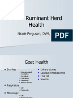 099 - Small Ruminant Health