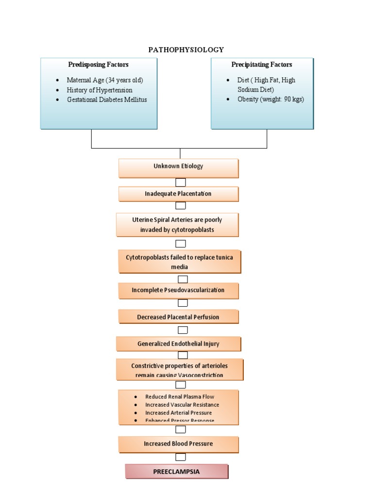 PATHOPHYSIOLOGY of Preeclampsia | PDF