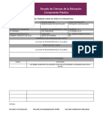 PLAN DE TRABAJO CURSO DE PRÁCTICA PEDAGÓGICA - Enfoques Curriculares