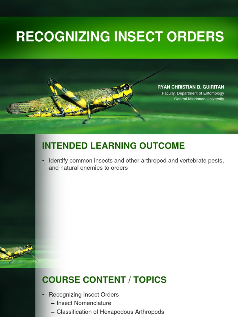 CPRT41 (Entom) 4. Recognizing Insect Orders PDF PDF Insects Fly