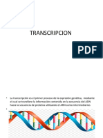 Eastructura Del Adn y Arn Bioologia