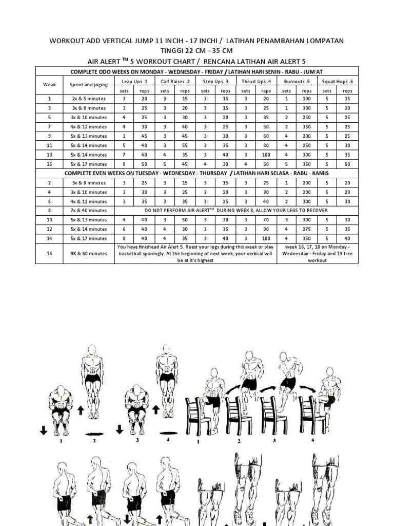 Workout Add Vertical Jump 15 Inchi PDF Lower Limb Anatomy