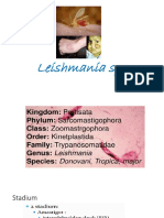 Leishmania SPP PDF