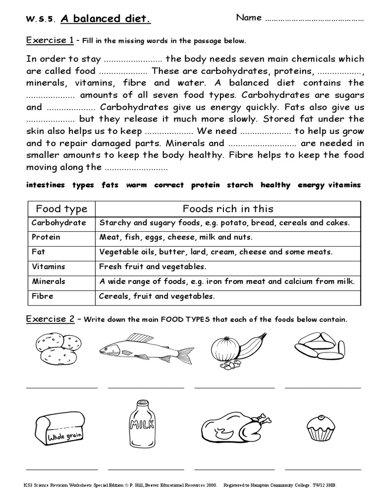 ks3 science revision worksheets special edition pdf carbohydrates dietary fiber