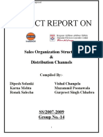 Project Report On: Sales Organization Structure & Distribution Channels