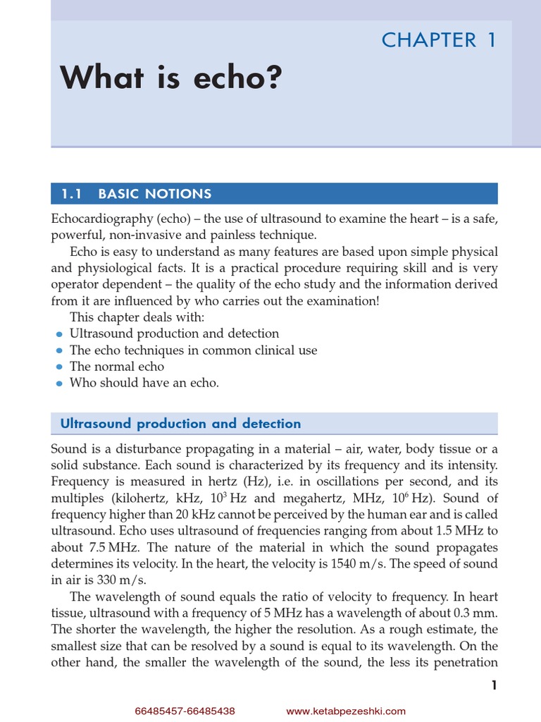 What Is Echo?: 1.1 BASIC Notions | Download Free PDF | Hertz | Heart Valve