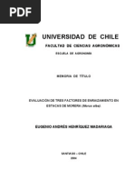 Tesis - EVALUACIÓN DE 3 FACTORES DE ENRAIZAMIENTO EN ESTACAS DE MORERA (Morus alba).