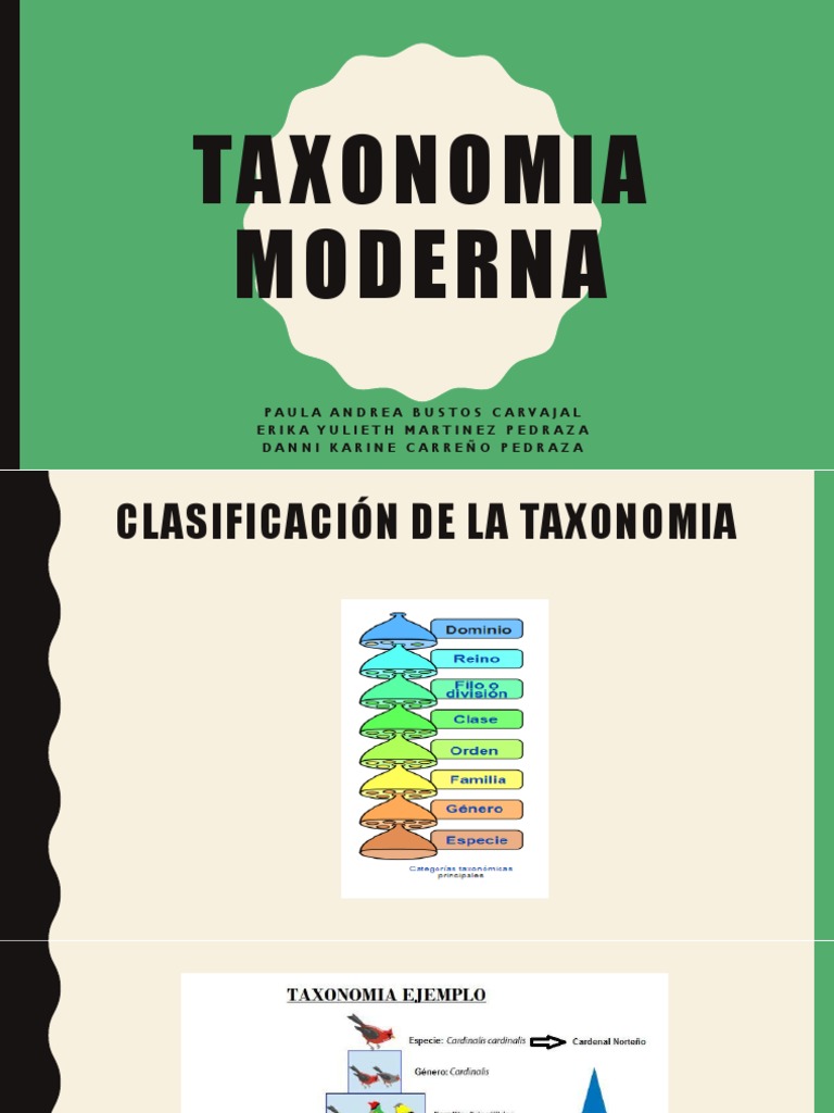 Una introducción a la taxonomía biológica moderna jerarquía y