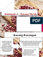 Kacang Merah - Sumber Protein Nabati yang Berkhasiat