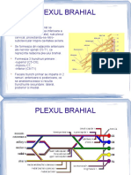 Pdfslide.net Plexul Brahialppt