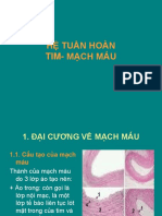 HỆ TUẦN HOÀN