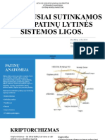 Dažniausiai Sutinkamos Šunų Patinų Lytinės Sistemos Ligos