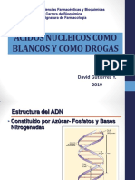 Ac - Nucleicos Como Blancos y Drogas