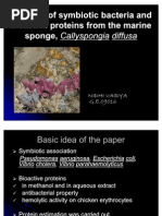 Download Isolation of symbiotic bacteria and bioactive proteins from by Nidhi Vaidya SN48650977 doc pdf