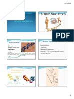 Aula 3 – Estrutura dos ácidos nucleicos e replicação do DNA