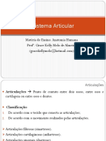 Sistema Articular-anatomia humana-nassau-hibrído.pdf