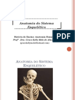 Aula de sistema esquelético- anatomia humana nassau-parte2