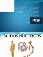 AULA 1-  Introdução ao estudo dos ãcidos nucleicos