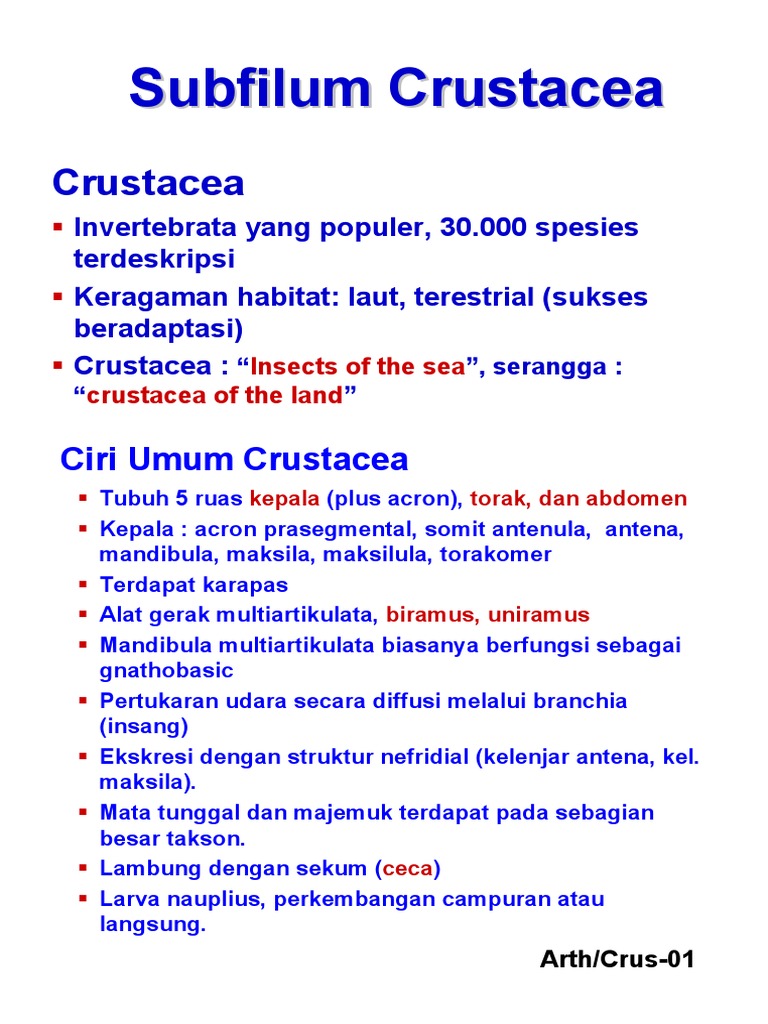 Ciri dan Klasifikasi Crustacea | PDF | Sains & Matematika
