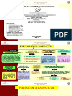 Grupo - Los Contadores - Tema - Peritaje en El Campo Civil - Seccion - B - Grupo