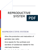 Reproductive System