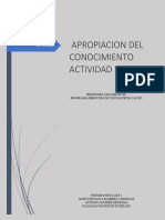 Apropiacion Del Conocimiento Actividad N°1 PDF