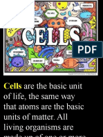 Cell Types, Prokaryotic and Eukaryotic