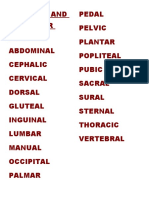 Anterior and Posterior Regions