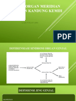 Sindrom Organ Meridian Ginjal Dan Kandung Kemih-1