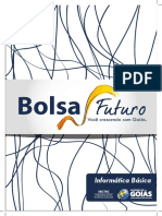 Apostila Informática - Bolsa Futuro PDF