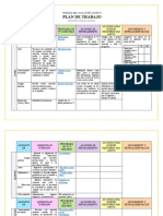 2o FORMATO OPCIONAL PLAN DE TRABAJO.docx