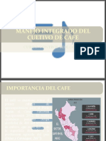 Manejo Integrado Del Cultivo de Cafe Actualizado