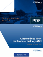 Clase Teórica 9 Nucleo PDF