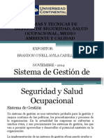 246033368-SISTEMA-DE-GESTION-DE-SEGURIDAD-Y-SALUD-OCUPACIONAL-pdf