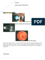 PERSISTENT FETAL VASCULARe