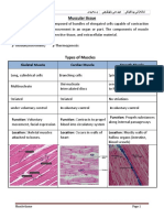 Muscular tissue: یکیتکارپ ینازەناش ىجۆلۆياب ىمەوود .م رەورەس Lab 8: Muscle T