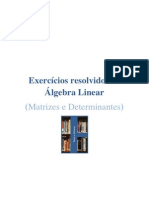 Exercícios resolvidos de Álgebra Linear (Matrizes e Determinantes)