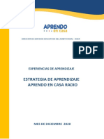 Experiencias de Aprendizaje Diciembre 2020 PDF