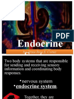 Endocrine System: By: Trixie Rose E. Cortez