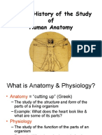 Introduction To Anatomy and Physiology