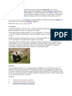 Referat despre ursul panda