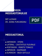 Curs 6- Mediastin