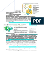 Teórico 2 Proteínas II (2017) 1