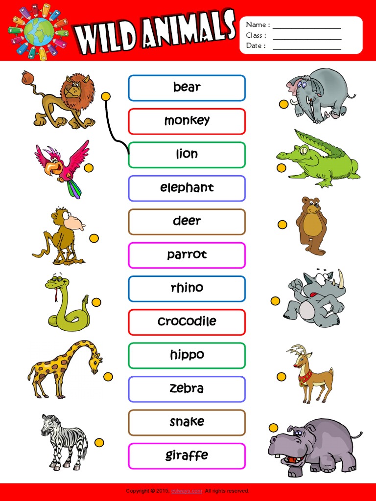 Wild Animals | PDF