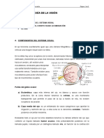 fisiologia_vision.doc