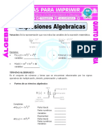 Expresiones Algebraicas