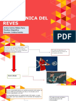 Biomecanica Del Reves